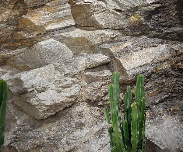 Nolita By Blanco فيلة *