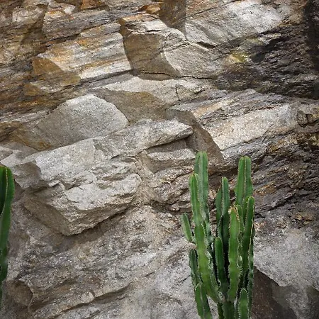 Nolita By Blanco 别墅 *